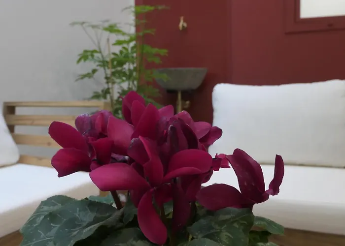 Opera - Norma פלרמו